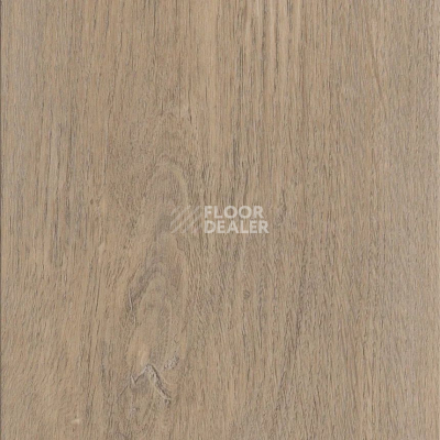 Кварцвиниловые полы AW Invictus Maximus Plank New England Oak Sand фото 1 | FLOORDEALER